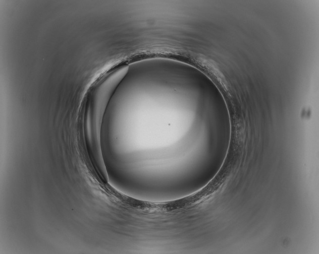 X0000090860395200707271233