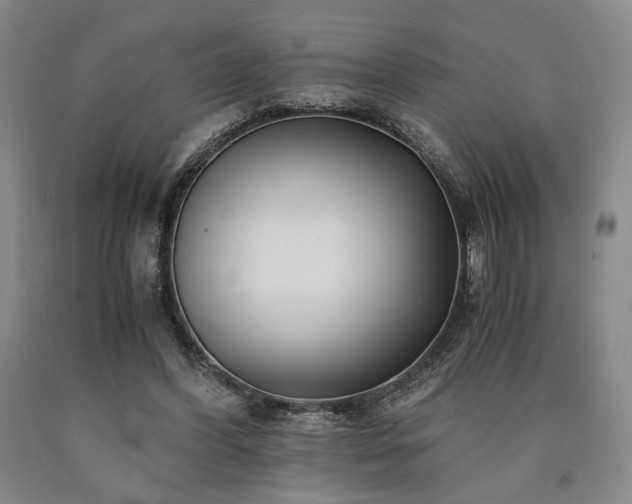 X0000090860396200707271233