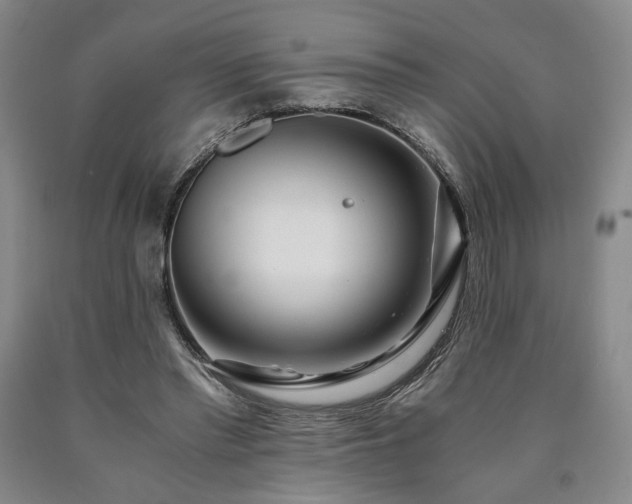 X0000090860397200707271233