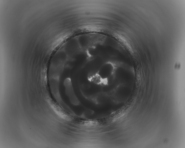 X0000090860398200707271233