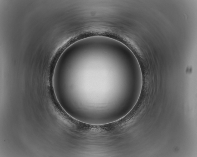 X0000090860399200707271233