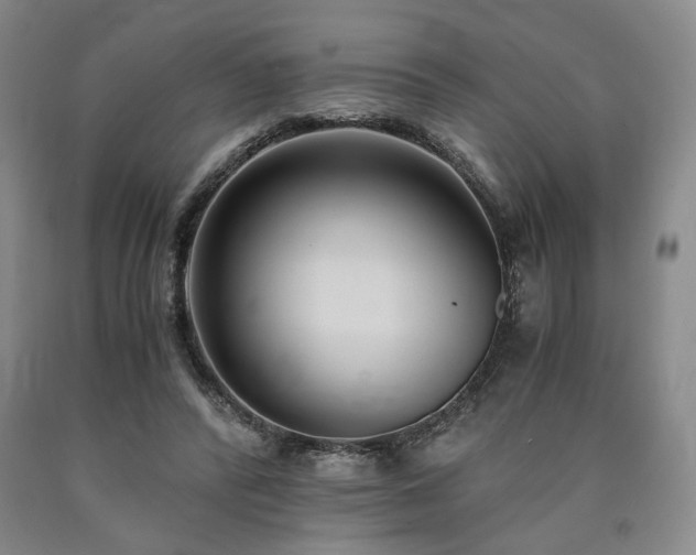 X0000090860400200707271233
