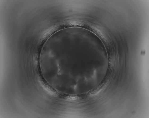 X0000090860402200707271233