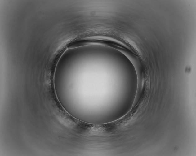 X0000090860403200707271233