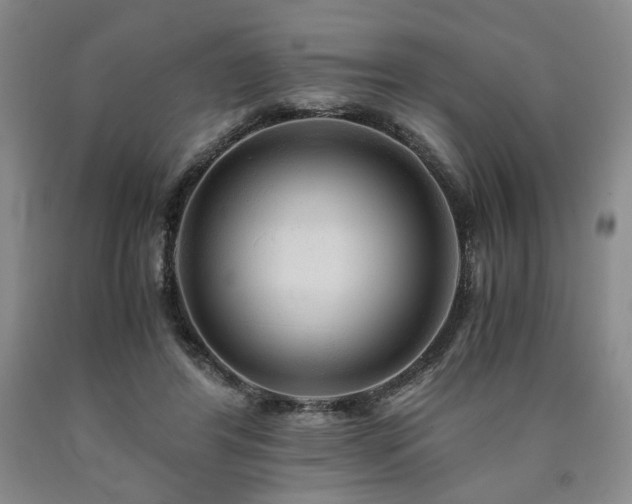 X0000090860404200707271233