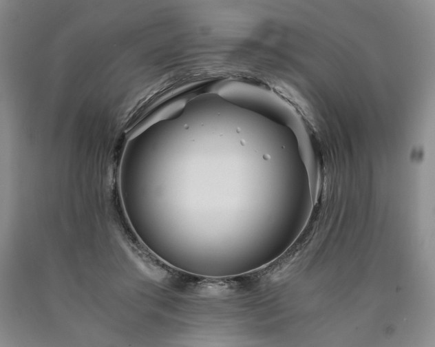 X0000090860405200707271233