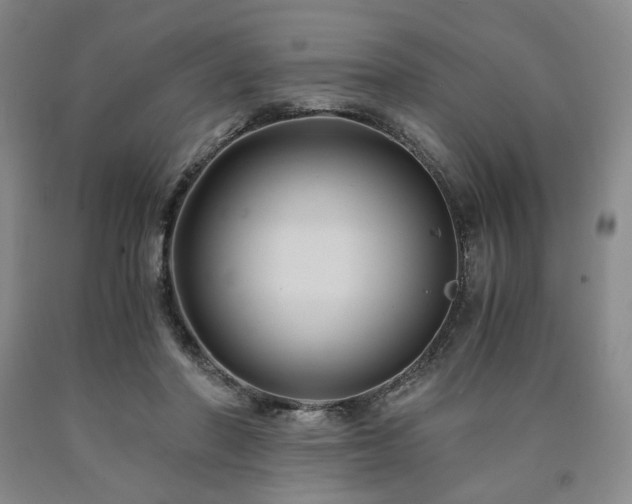 X0000090860406200707271233