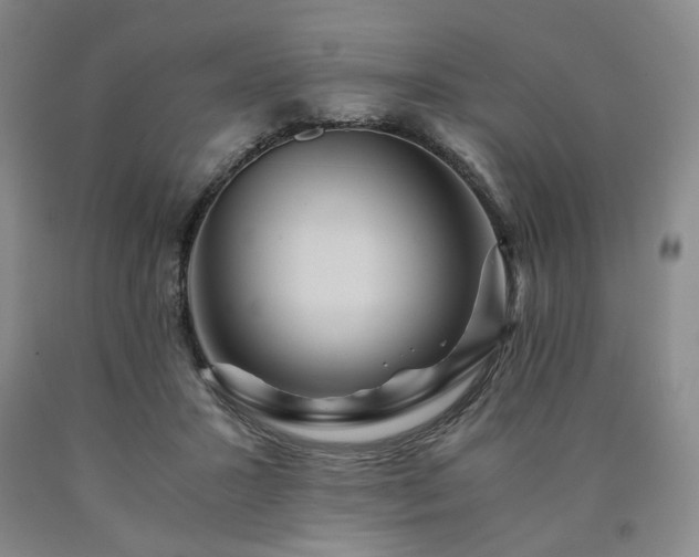 X0000090860407200707271233