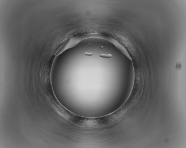 X0000090860409200707271233