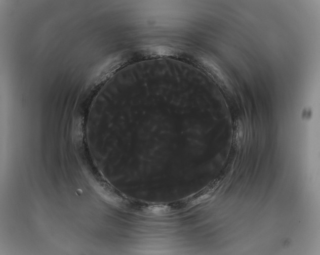 X0000090860410200707271233
