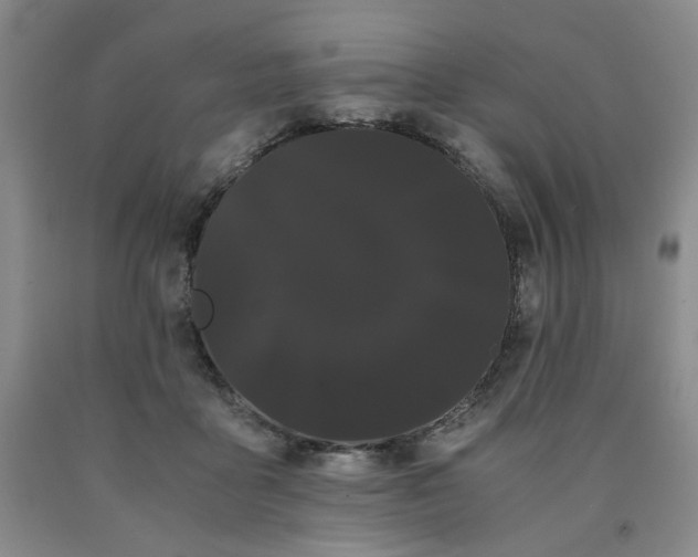X0000090860411200707271233