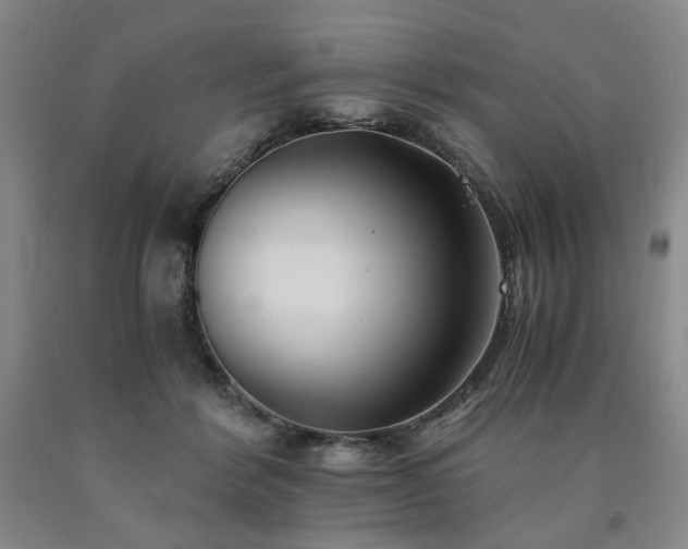 X0000090860412200707271233