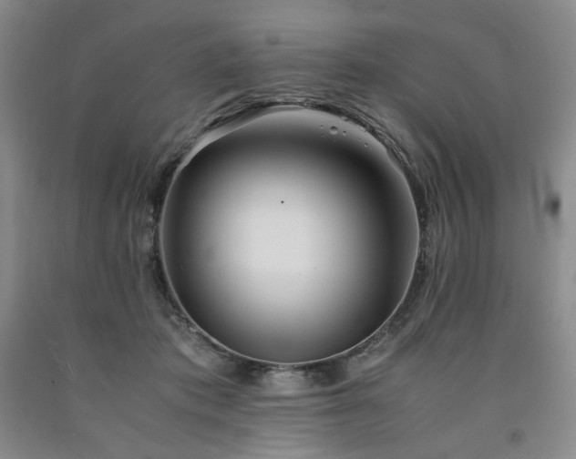 X0000090860413200707271233