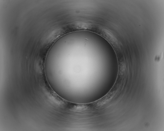 X0000090860414200707271233