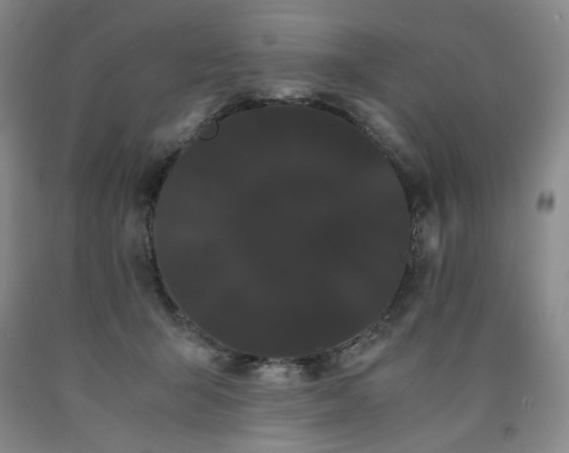 X0000090860415200707271233