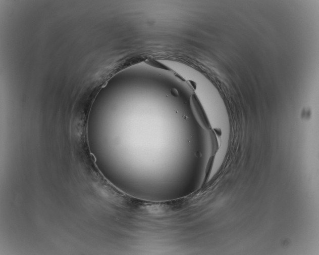 X0000090860417200707271233