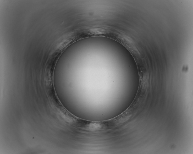 X0000090860418200707271233