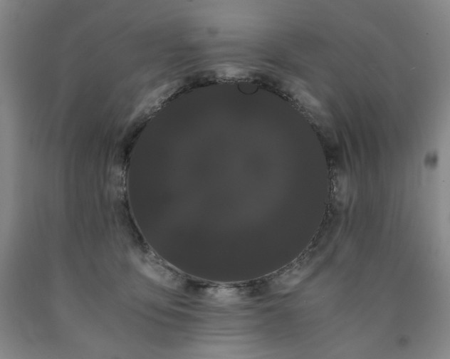 X0000090860419200707271233