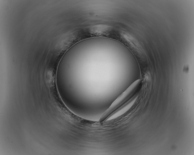X0000090860420200707271233