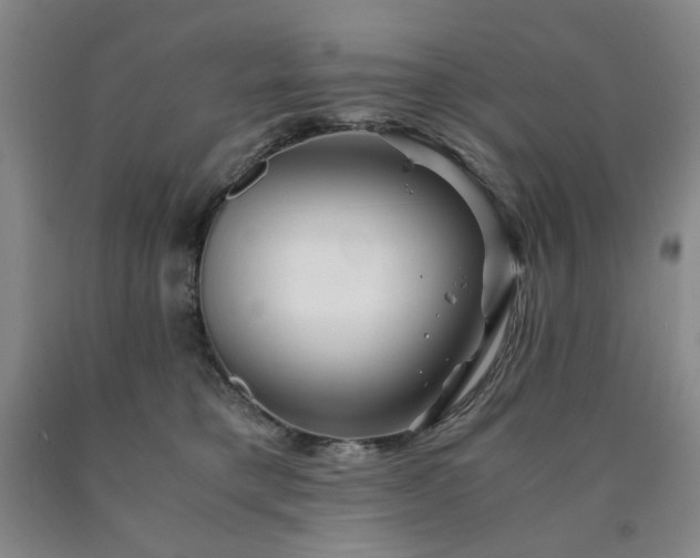 X0000090860421200707271233