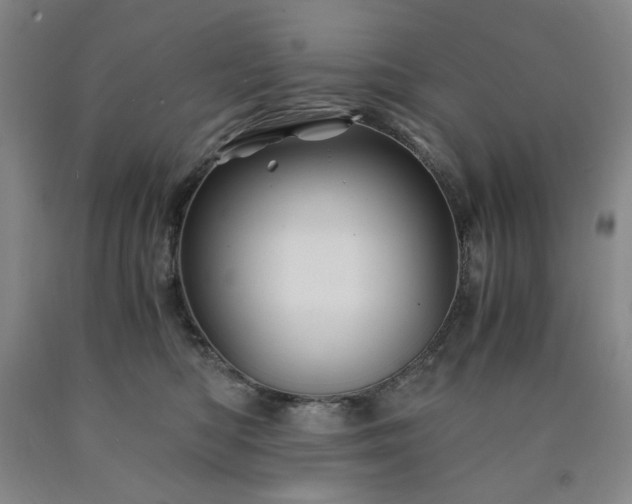 X0000090860422200707271233