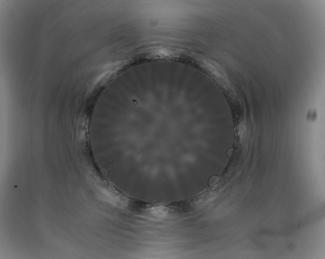 X0000090860423200707271233