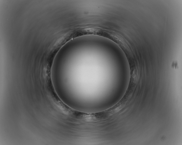 X0000090860424200707271233