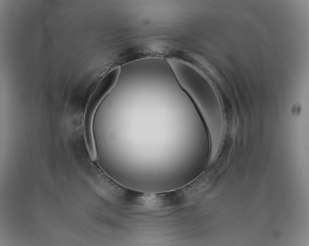 X0000090860425200707271233