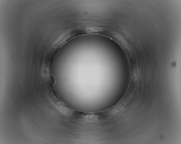 X0000090860426200707271233