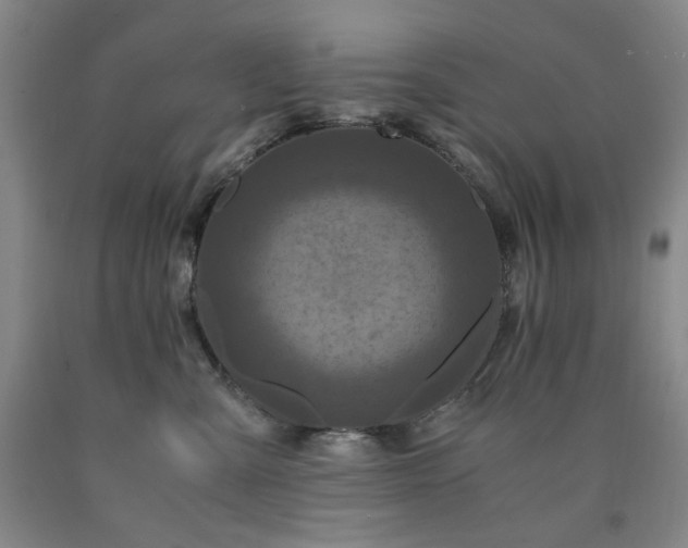 X0000090860427200707271233