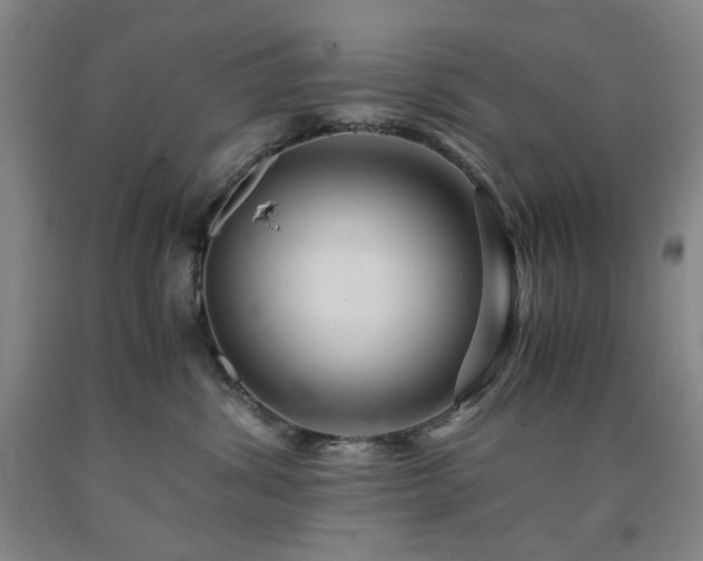X0000090860428200707271233