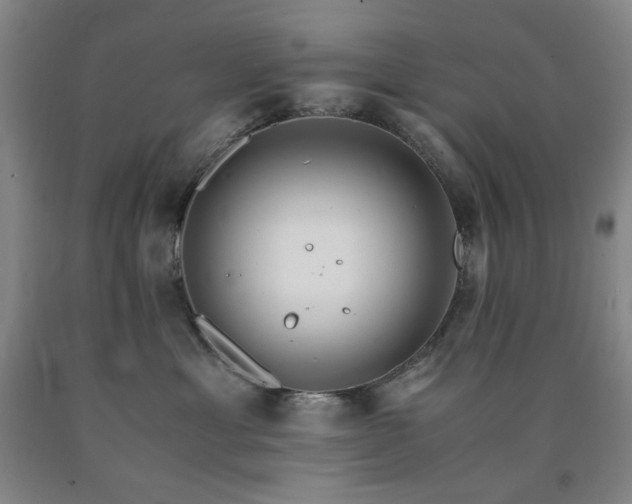 X0000090860429200707271233