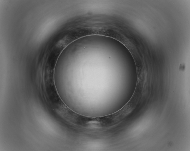 X0000090860430200707271233