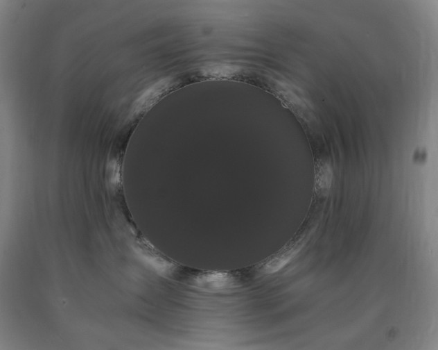 X0000090860431200707271233
