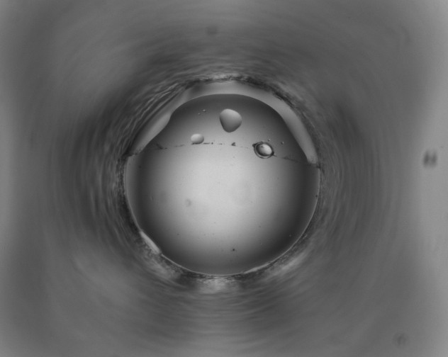 X0000090860432200707271233