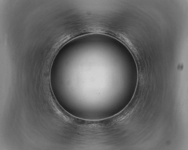 X0000090860433200707271232