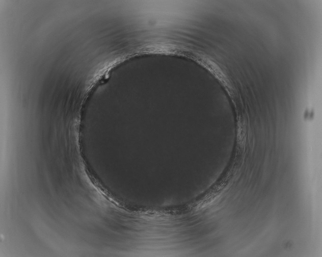 X0000090860434200707271232