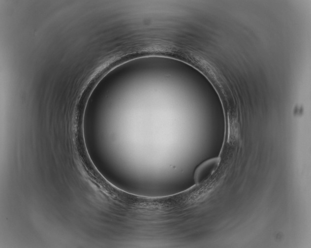 X0000090860435200707271232