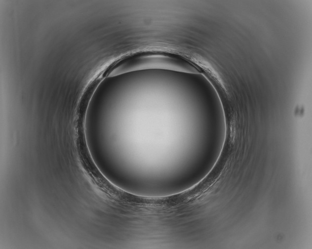X0000090860436200707271232