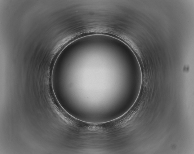X0000090860437200707271232