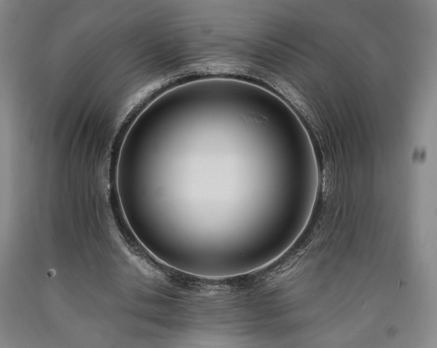 X0000090860438200707271232