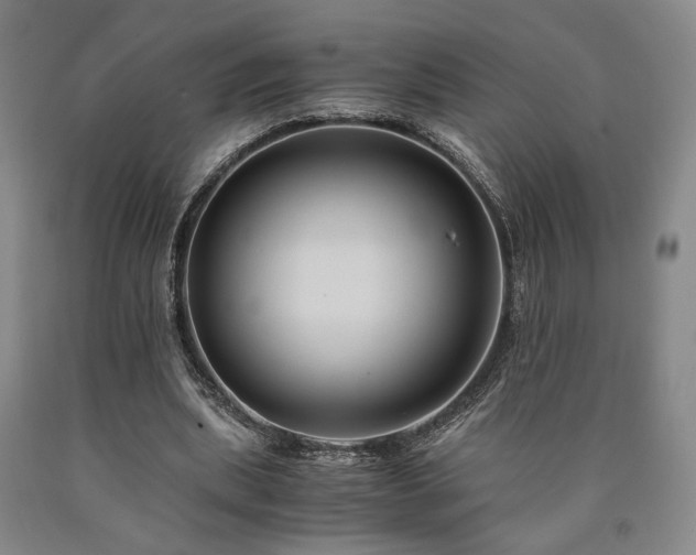 X0000090860439200707271232