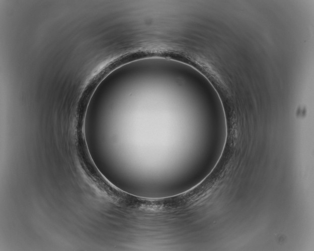 X0000090860440200707271232