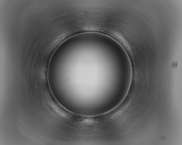 X0000090860441200707271232