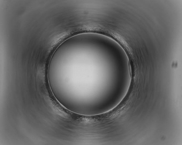 X0000090860442200707271232