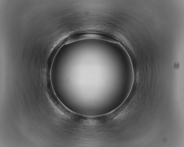 X0000090860444200707271232