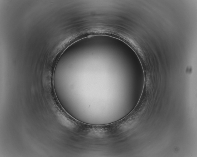 X0000090860445200707271232