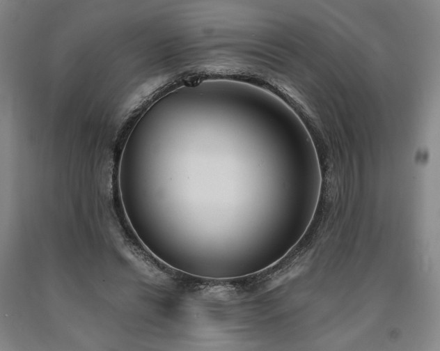 X0000090860446200707271232