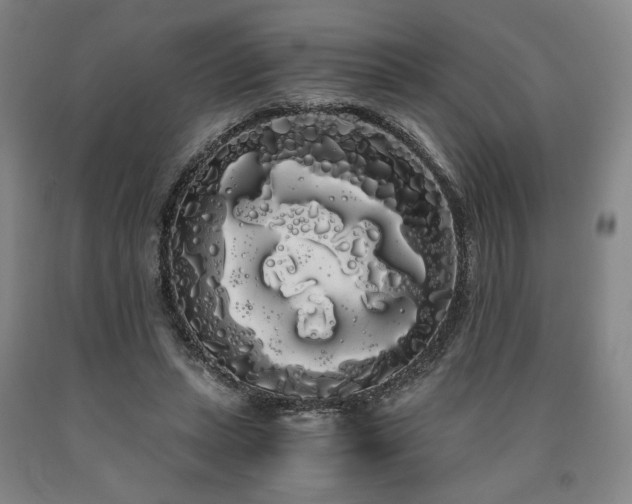 X0000090860447200707271232