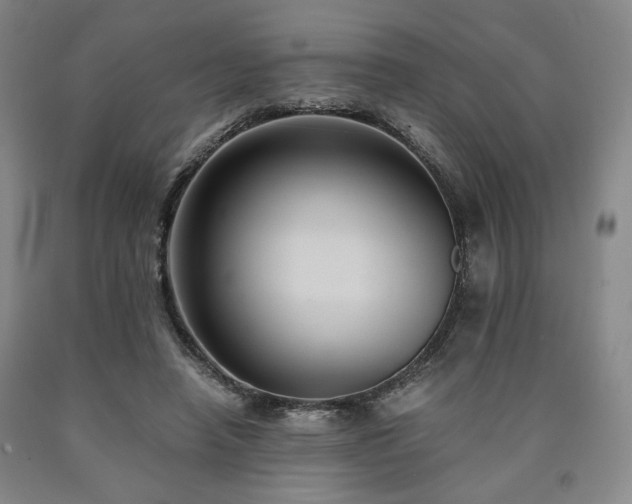 X0000090860450200707271232